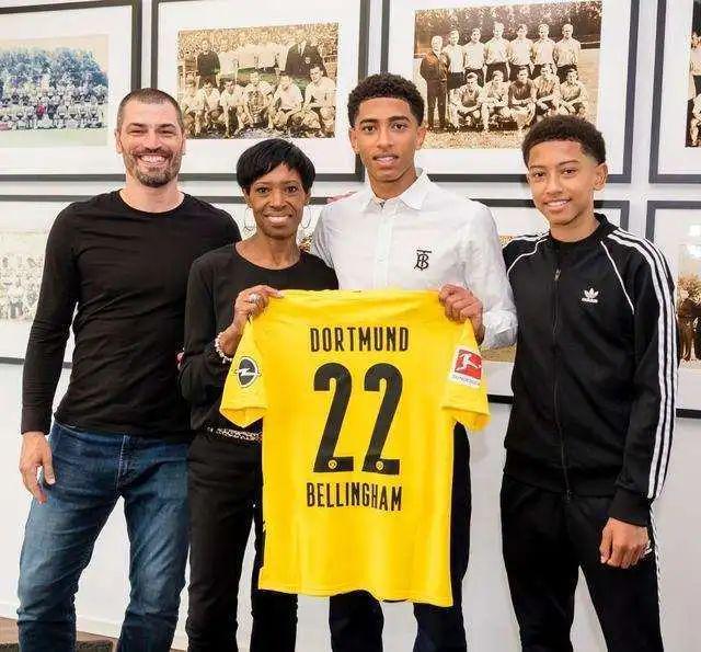 蓬展示了兴 蓬展示了兴